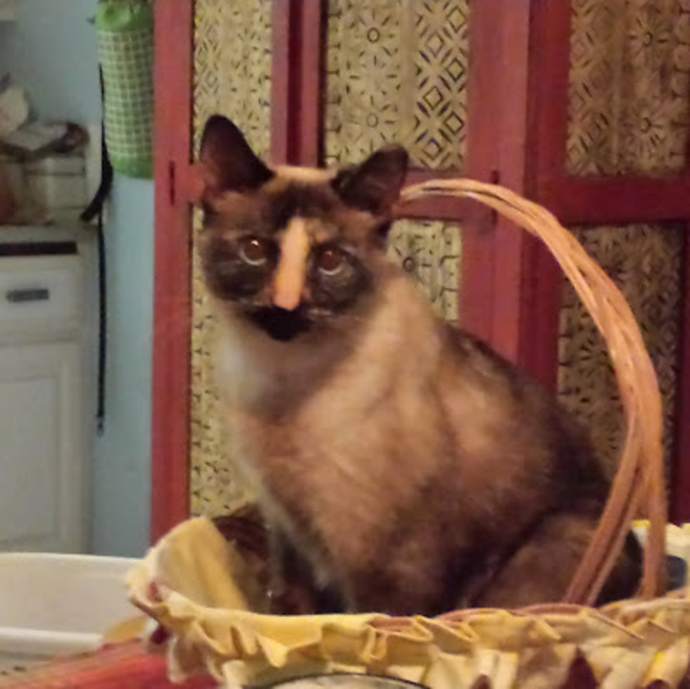 Meet your Posher, M.